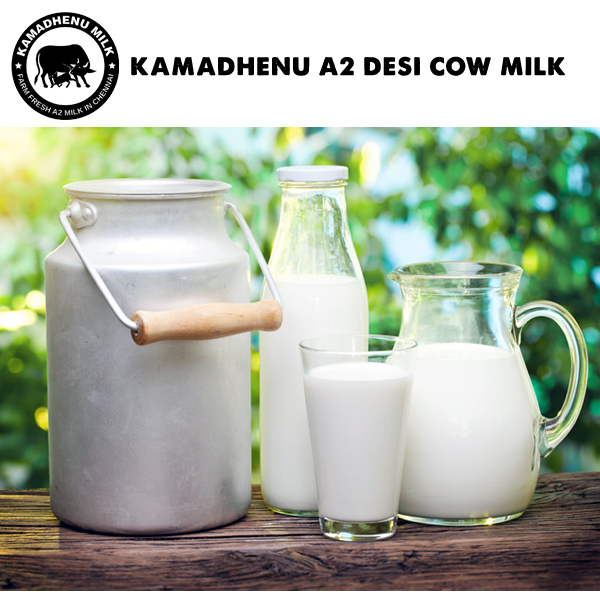 organic cow milk chennai