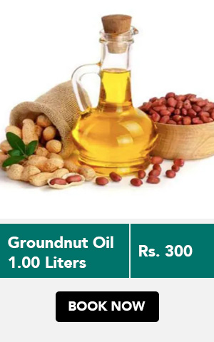 groundnut oil chennai