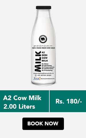 fresh cow milk chennai