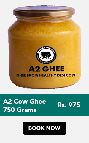 fresh cow ghee chennai