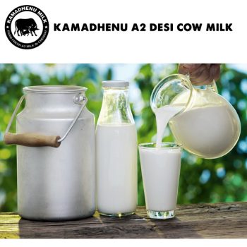 cow milk chennai