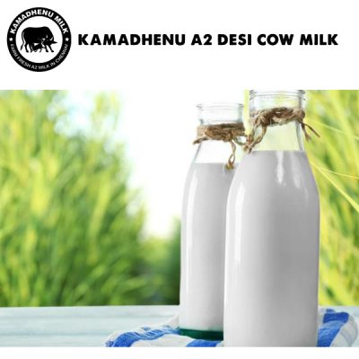 fresh cow milk in chennai