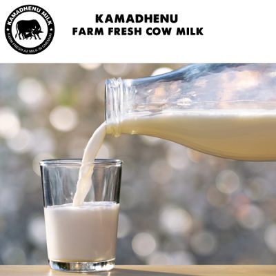farm fresh cow milk chennai